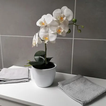 Bed & Breakfast Les De Meiz Stavelot