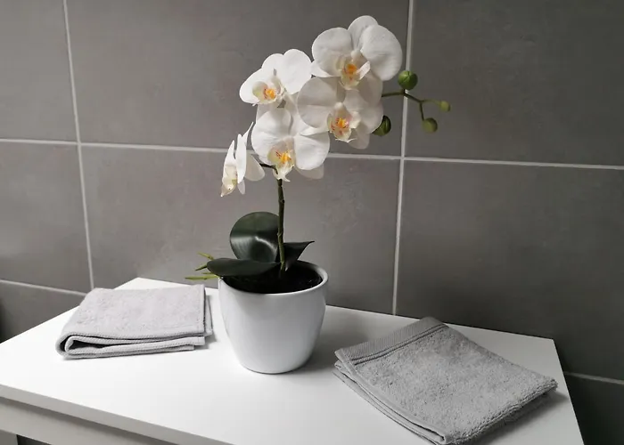 Bed & Breakfast Les De Meiz Stavelot